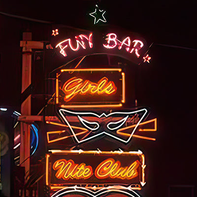 Fun Bar and niteclub LED neon sign