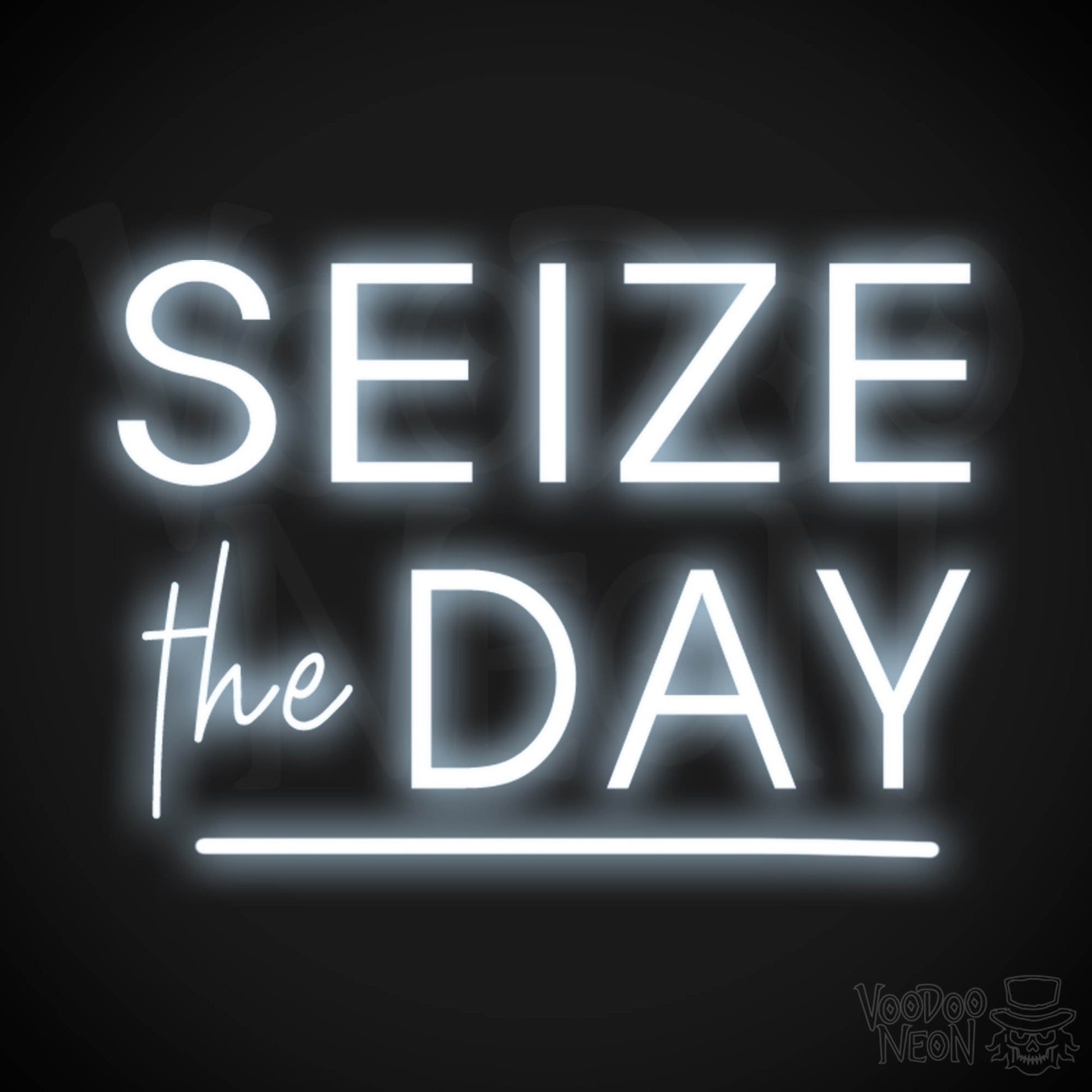 Seize The Day Neon Sign - Neon Seize The Day Sign - LED Wall Art - Color Cool White