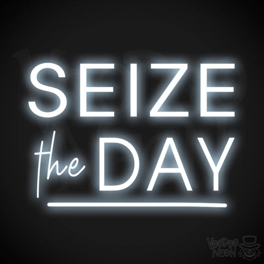 Seize The Day Neon Sign - Neon Seize The Day Sign - LED Wall Art - Color Cool White