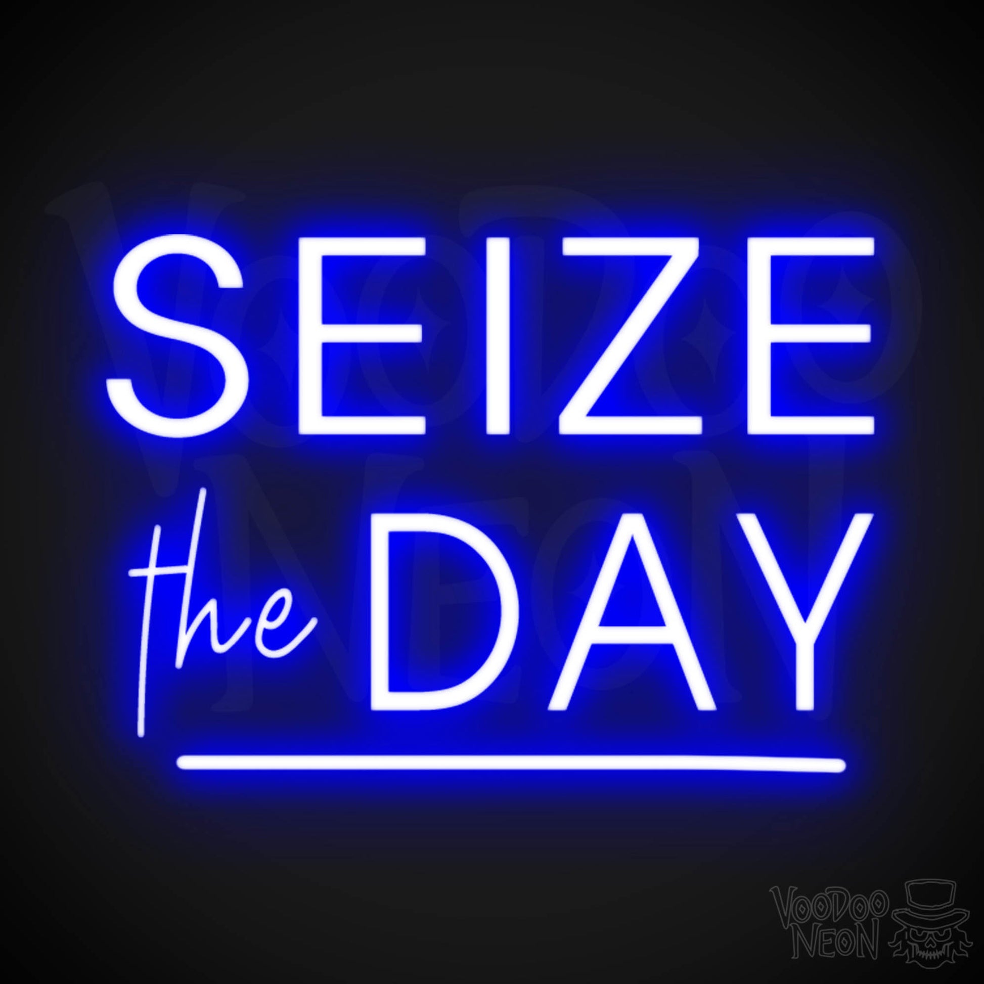 Seize The Day Neon Sign - Neon Seize The Day Sign - LED Wall Art - Color Dark Blue