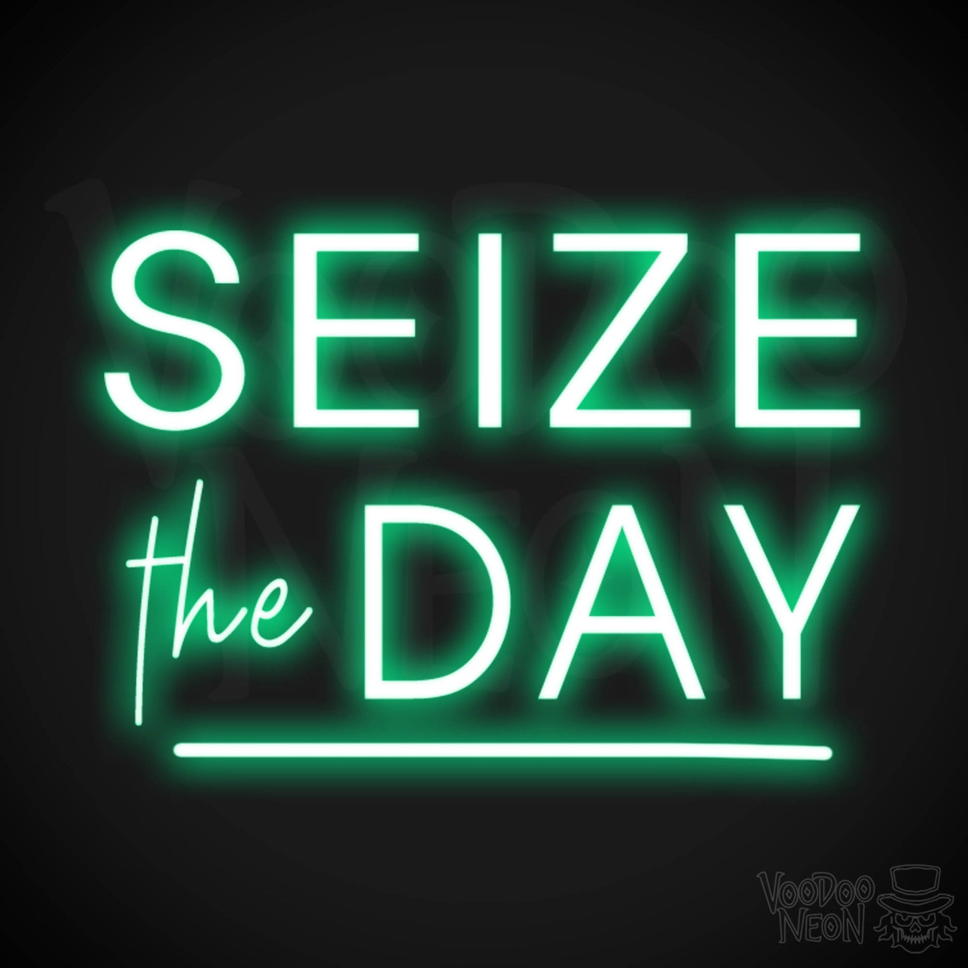 Seize The Day Neon Sign - Neon Seize The Day Sign - LED Wall Art - Color Green