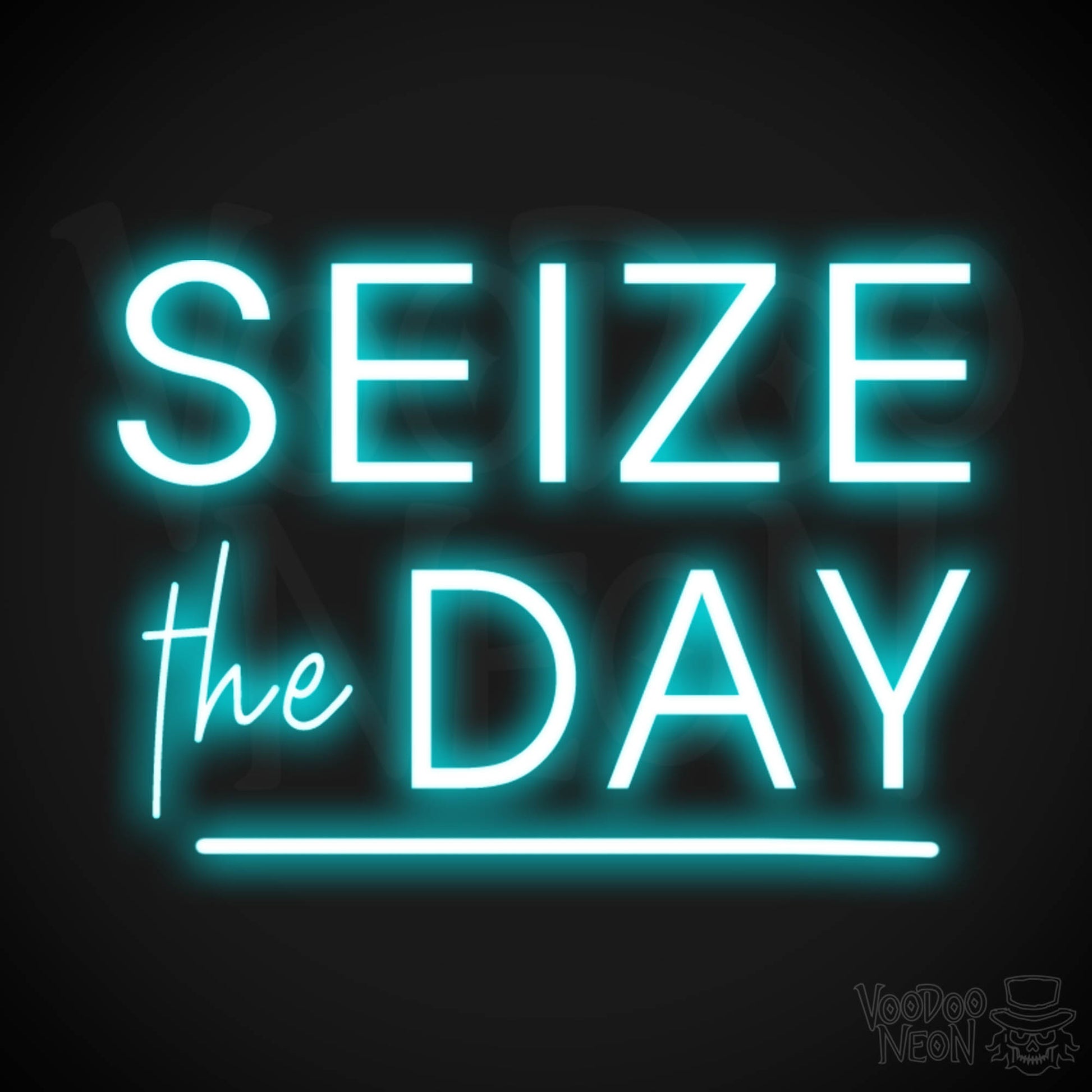 Seize The Day Neon Sign - Neon Seize The Day Sign - LED Wall Art - Color Ice Blue