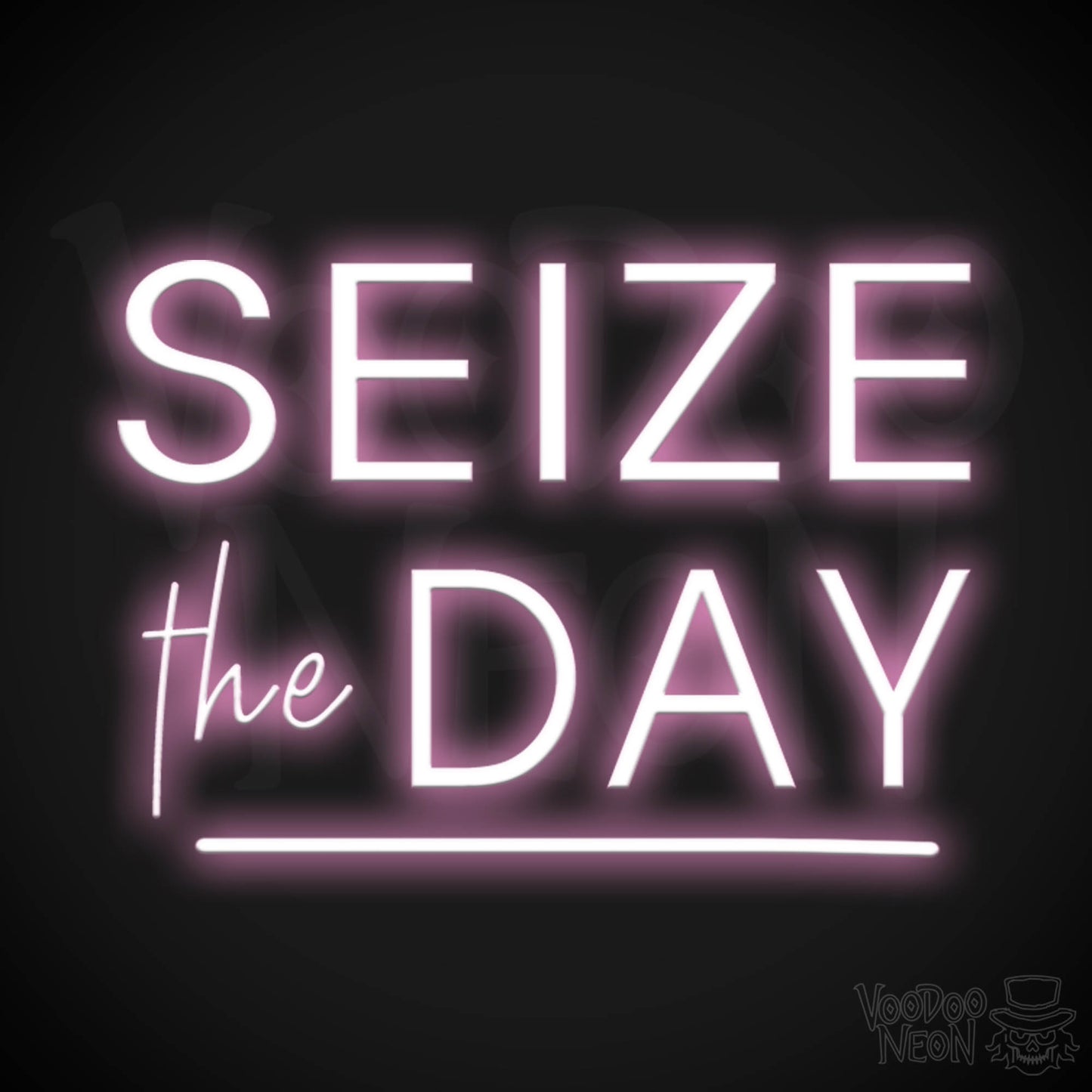 Seize The Day Neon Sign - Neon Seize The Day Sign - LED Wall Art - Color Light Pink