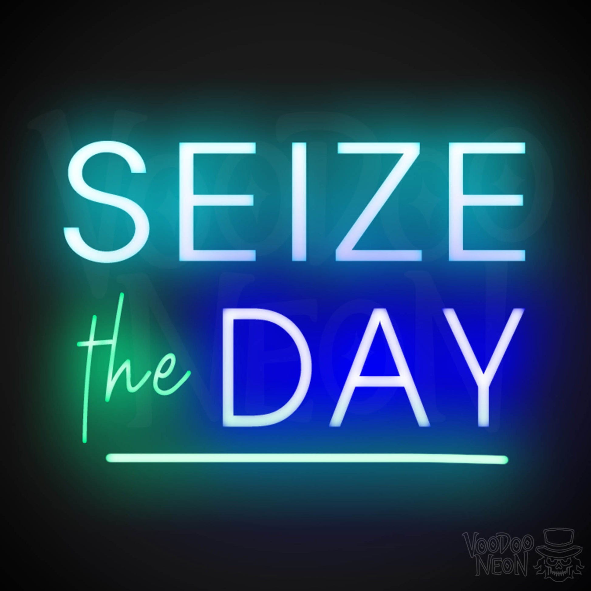 Seize The Day Neon Sign - Neon Seize The Day Sign - LED Wall Art - Color Multi-Color