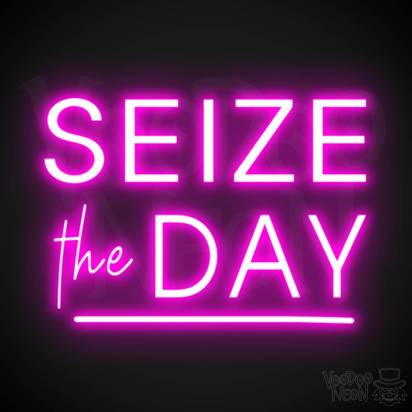 Seize The Day Neon Sign - Neon Seize The Day Sign - LED Wall Art - Color Pink