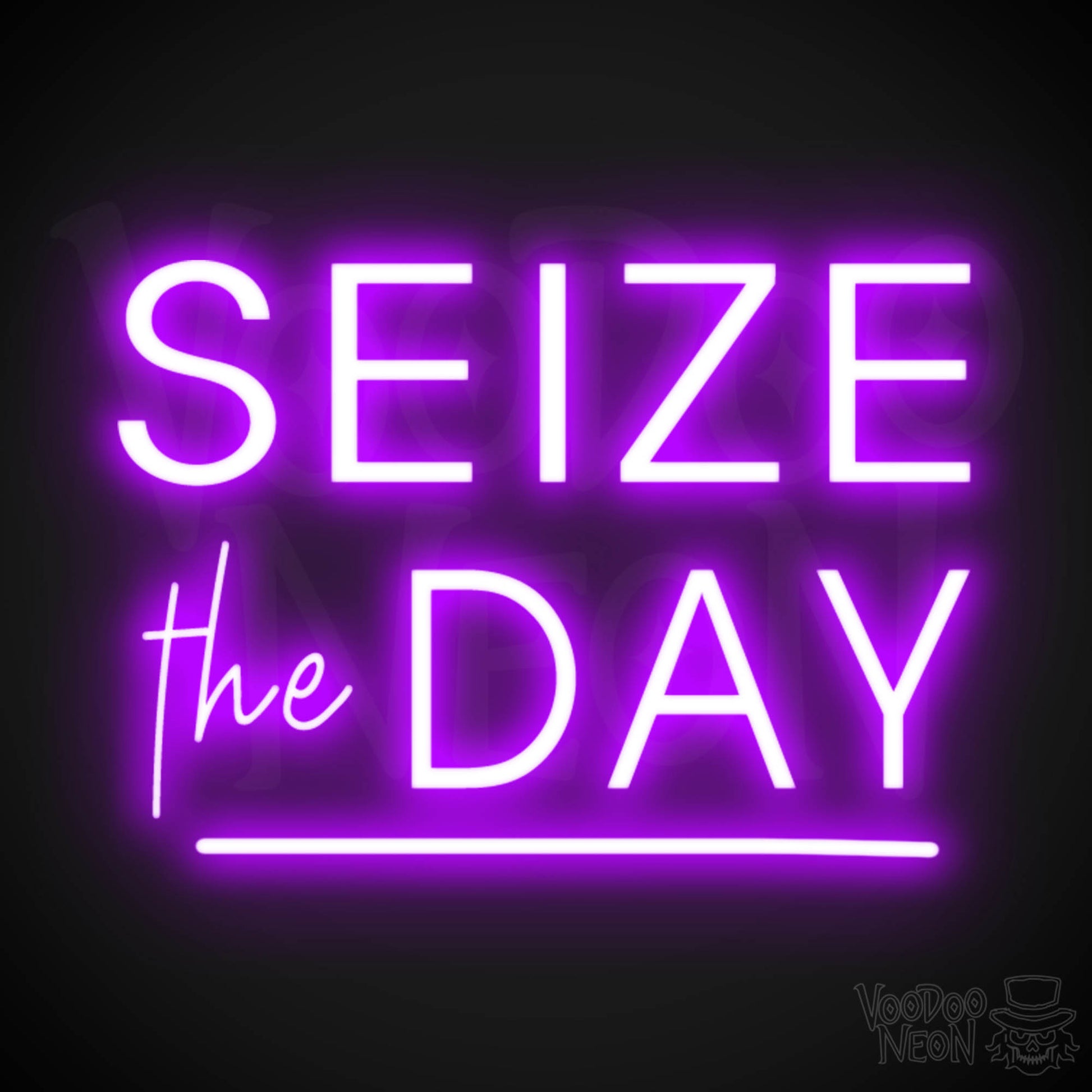 Seize The Day Neon Sign - Neon Seize The Day Sign - LED Wall Art - Color Purple