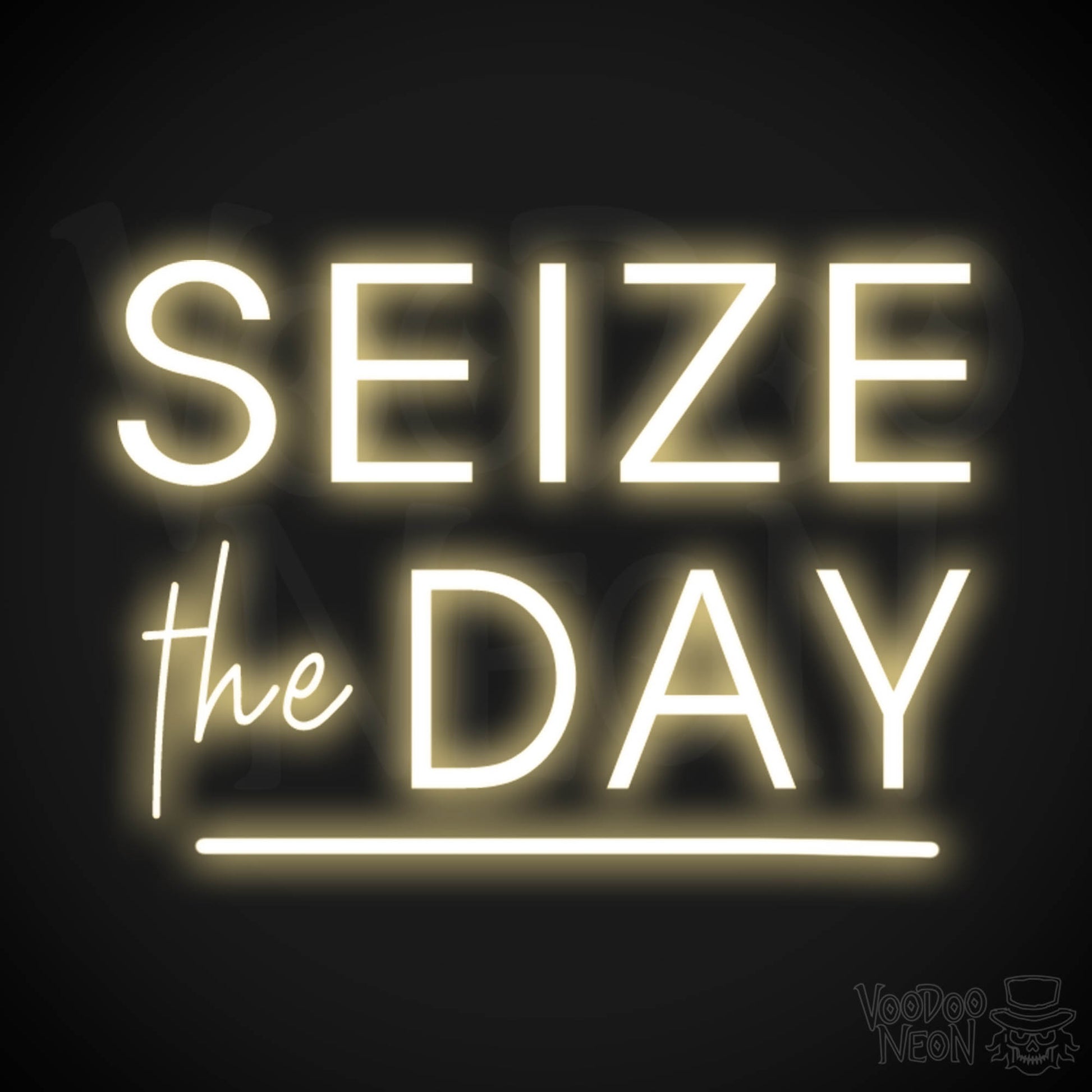 Seize The Day Neon Sign - Neon Seize The Day Sign - LED Wall Art - Color Warm White