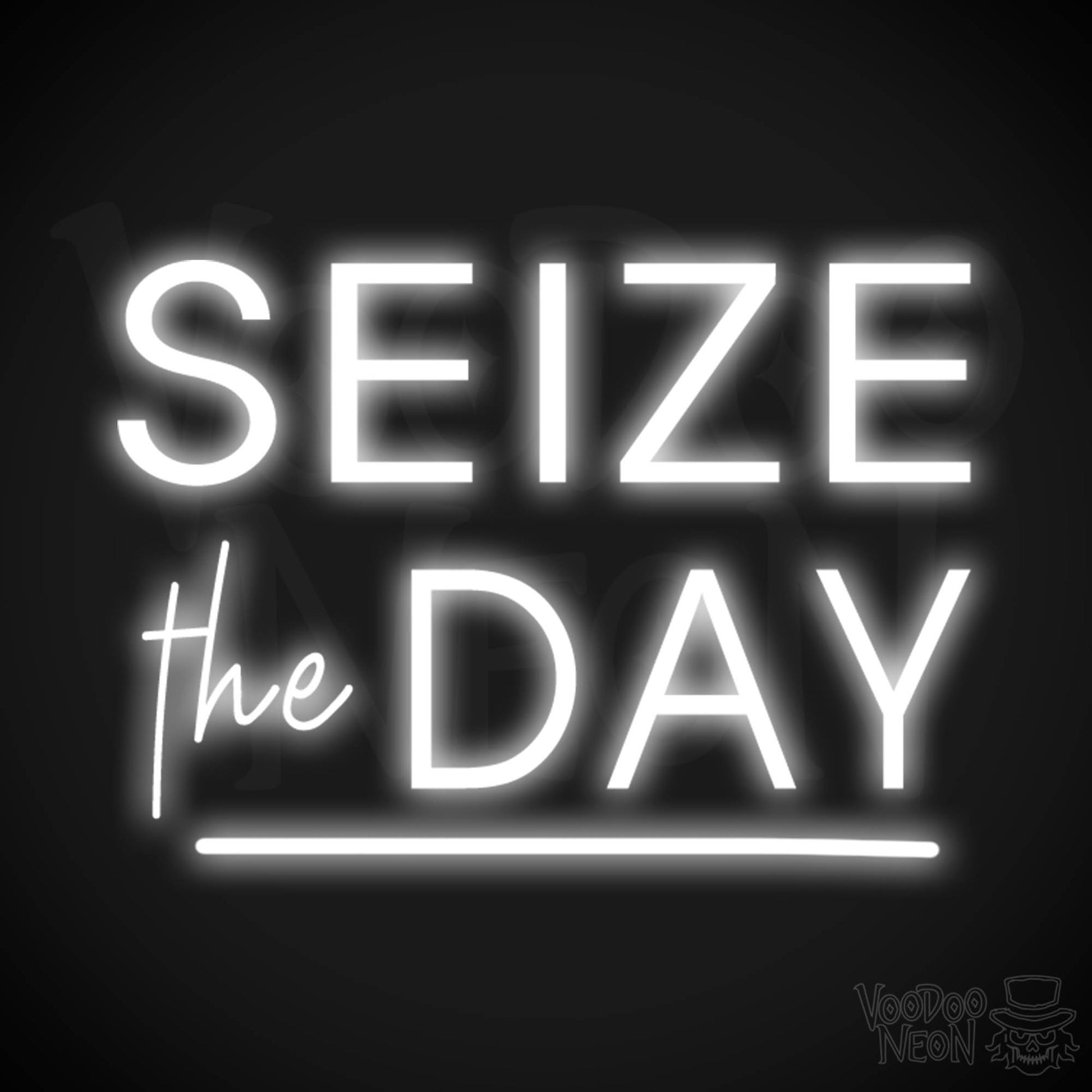 Seize The Day Neon Sign - Neon Seize The Day Sign - LED Wall Art - Color White